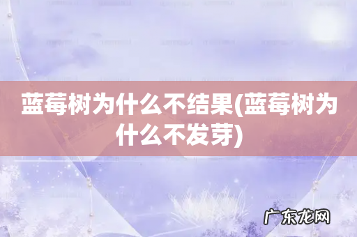 蓝莓树为什么不发芽 蓝莓树为什么不结果