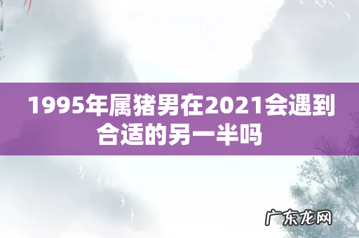 1995年属猪男在2021会遇到合适的另一半吗