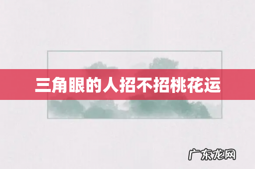 三角眼的人招不招桃花运