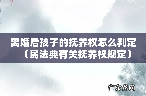 民法典有关抚养权规定 离婚后孩子的抚养权怎么判定