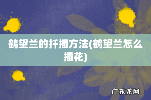 鹤望兰怎么插花 鹤望兰的扦插方法