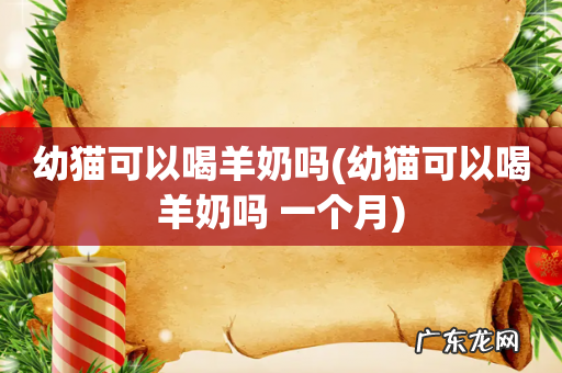 幼猫可以喝羊奶吗 一个月 幼猫可以喝羊奶吗
