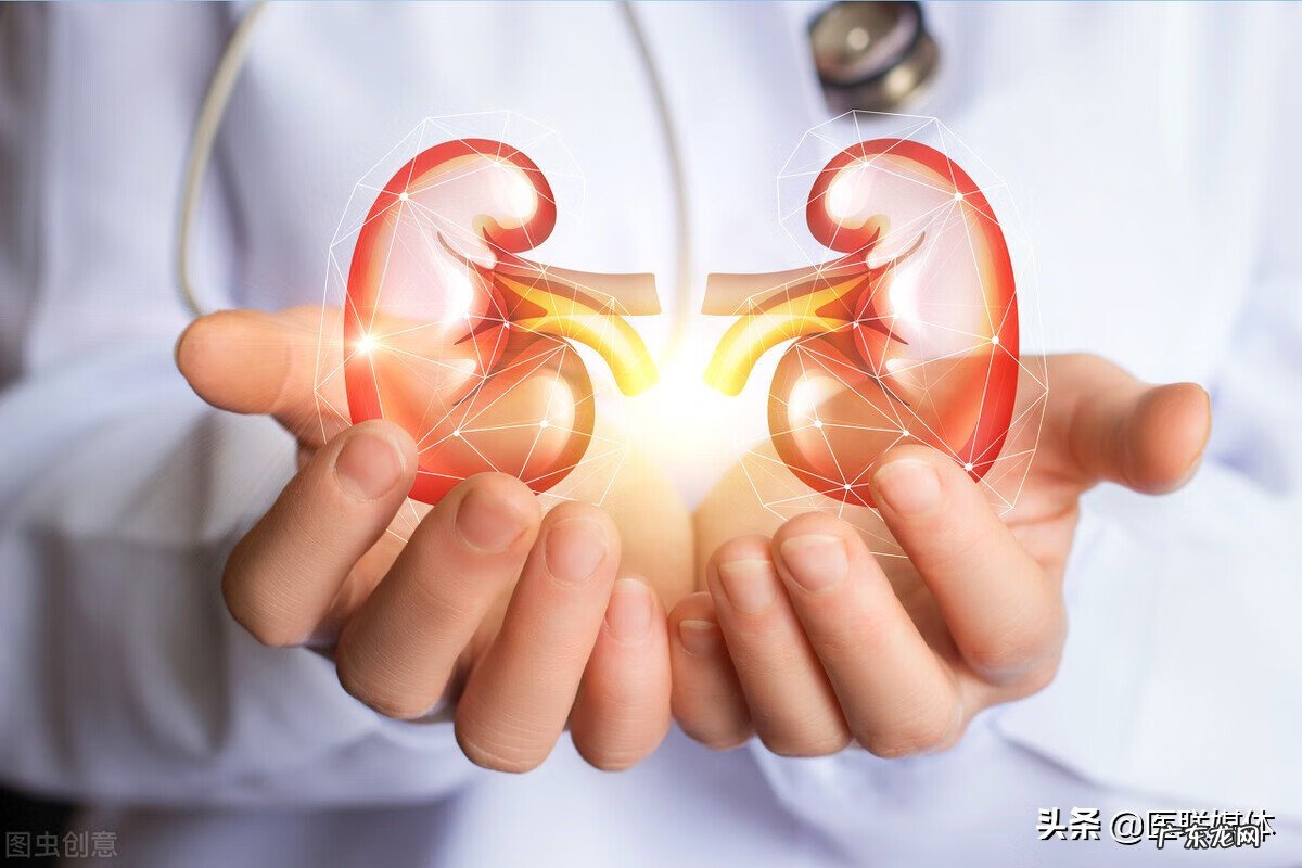 肾在风水中代表什么地方 肾脏对应家里哪个方位