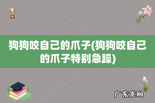狗狗咬自己的爪子特别急躁 狗狗咬自己的爪子