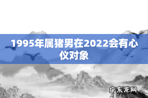 1995年属猪男在2022会有心仪对象