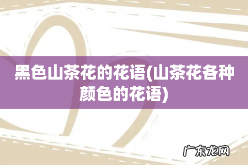 山茶花各种颜色的花语 黑色山茶花的花语