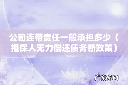 担保人无力偿还债务新政策 公司连带责任一般承担多少