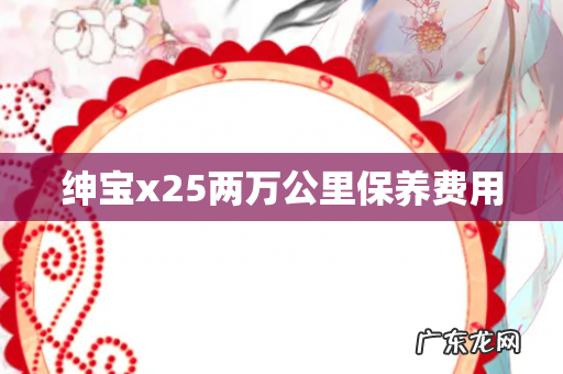 绅宝x25两万公里保养费用