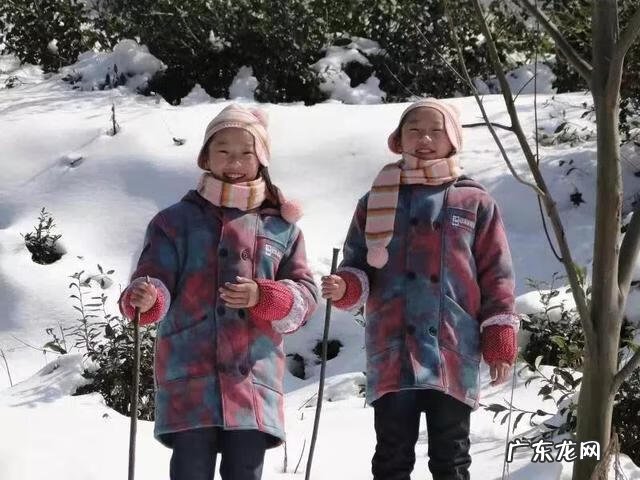 复旦姐妹花 复旦双胞胎姐妹花是谁