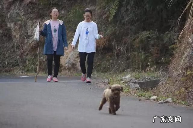 复旦姐妹花 复旦双胞胎姐妹花是谁