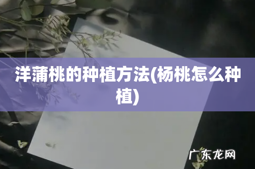杨桃怎么种植 洋蒲桃的种植方法