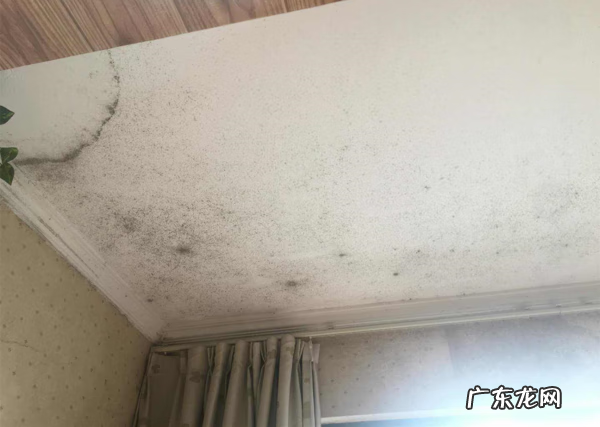 房子外墙是黑色的风水 墙为什么发黑