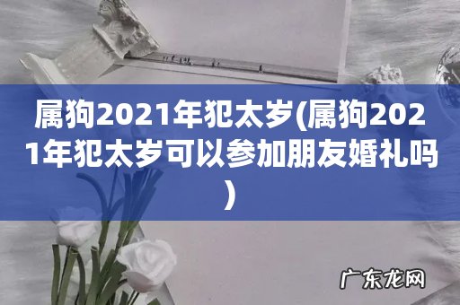 属狗2021年犯太岁可以参加朋友婚礼吗 属狗2021年犯太岁