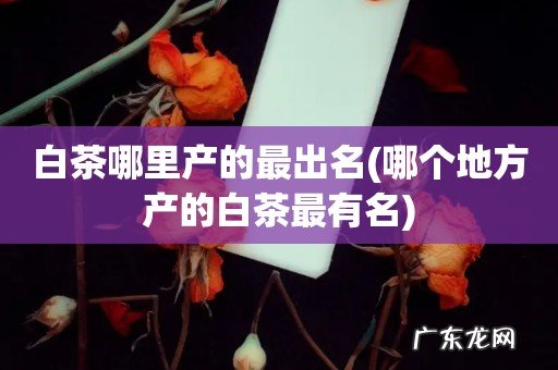 哪个地方产的白茶最有名 白茶哪里产的最出名
