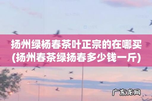 扬州春茶绿扬春多少钱一斤 扬州绿杨春茶叶正宗的在哪买