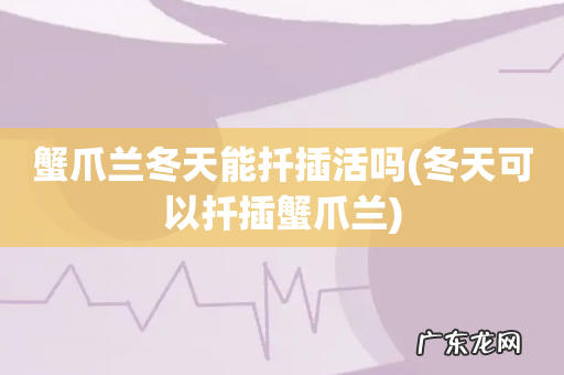 冬天可以扦插蟹爪兰 蟹爪兰冬天能扦插活吗