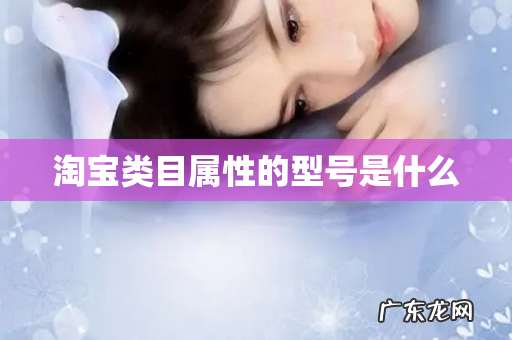 淘宝类目属性的型号是什么