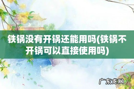 铁锅不开锅可以直接使用吗 铁锅没有开锅还能用吗