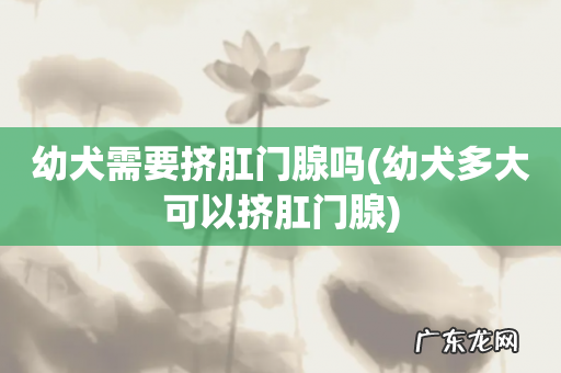 幼犬多大可以挤肛门腺 幼犬需要挤肛门腺吗