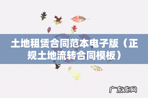 正规土地流转合同模板 土地租赁合同范本电子版