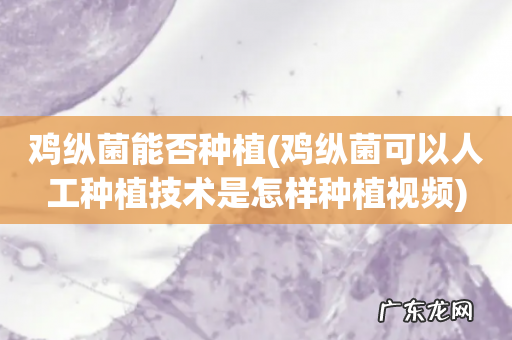 鸡纵菌可以人工种植技术是怎样种植视频 鸡纵菌能否种植