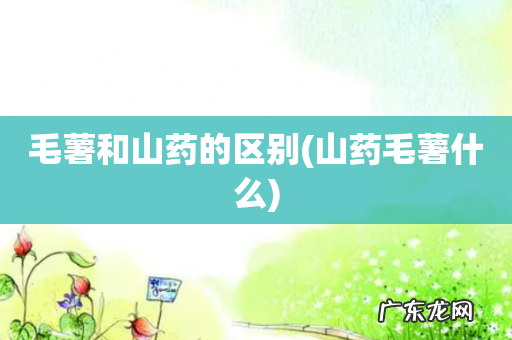 山药毛薯什么 毛薯和山药的区别