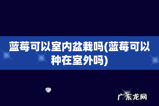 蓝莓可以种在室外吗 蓝莓可以室内盆栽吗