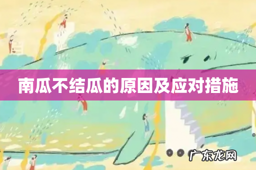 南瓜不结瓜的原因及应对措施