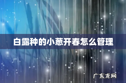 白露种的小葱开春怎么管理
