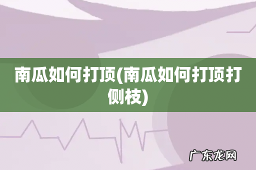 南瓜如何打顶打侧枝 南瓜如何打顶