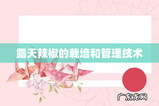 露天辣椒的栽培和管理技术