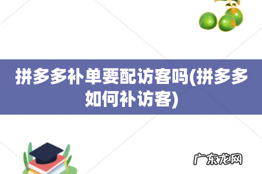 拼多多如何补访客 拼多多补单要配访客吗