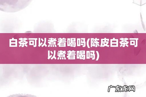 陈皮白茶可以煮着喝吗 白茶可以煮着喝吗