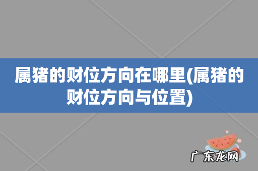 属猪的财位方向与位置 属猪的财位方向在哪里