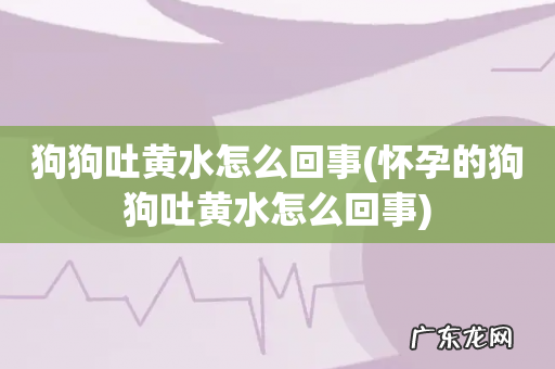 怀孕的狗狗吐黄水怎么回事 狗狗吐黄水怎么回事