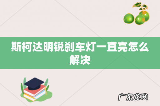斯柯达明锐刹车灯一直亮怎么解决
