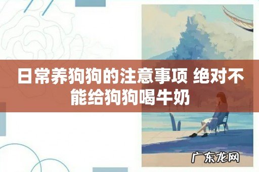 日常养狗狗的注意事项 绝对不能给狗狗喝牛奶