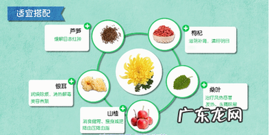 菊花的功效与作用 菊花可以做成什么吃?