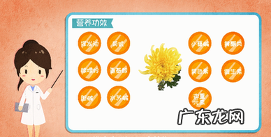 菊花的功效与作用 菊花可以做成什么吃?