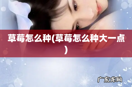 草莓怎么种大一点 草莓怎么种