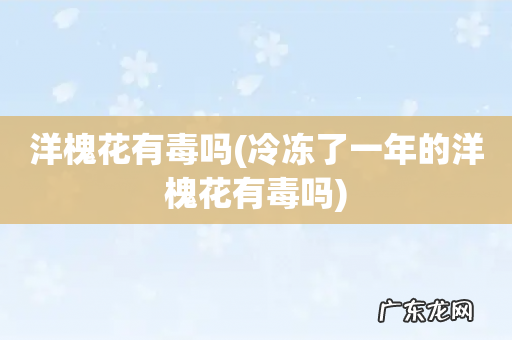 冷冻了一年的洋槐花有毒吗 洋槐花有毒吗