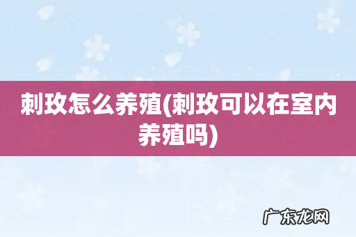 刺玫可以在室内养殖吗 刺玫怎么养殖