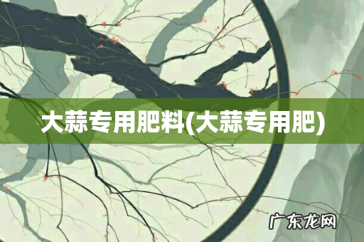 大蒜专用肥 大蒜专用肥料