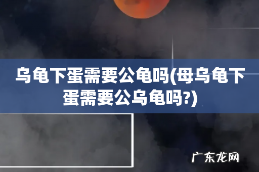 母乌龟下蛋需要公乌龟吗? 乌龟下蛋需要公龟吗