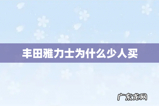 丰田雅力士为什么少人买