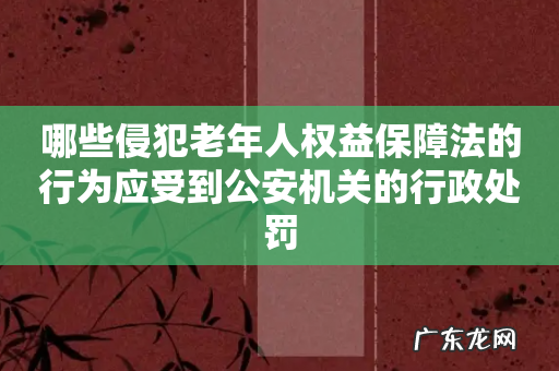 哪些侵犯老年人权益保障法的行为应受到公安机关的行政处罚