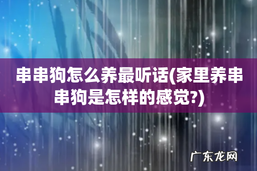 家里养串串狗是怎样的感觉? 串串狗怎么养最听话