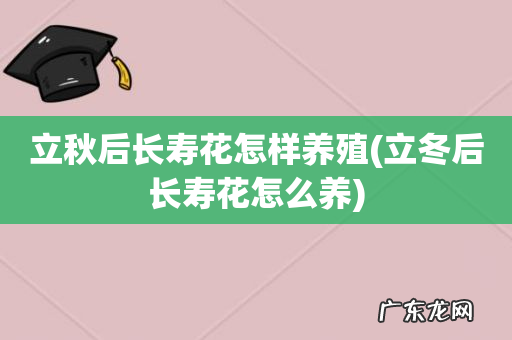 立冬后长寿花怎么养 立秋后长寿花怎样养殖