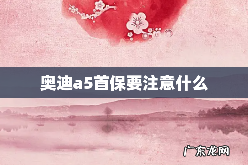 奥迪a5首保要注意什么