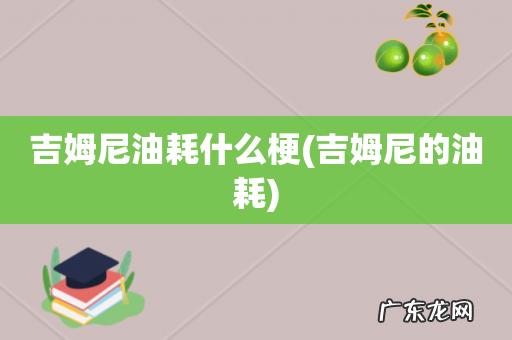 吉姆尼的油耗 吉姆尼油耗什么梗